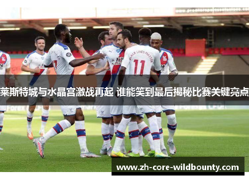 莱斯特城与水晶宫激战再起 谁能笑到最后揭秘比赛关键亮点