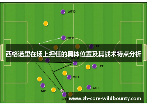 西格诺里在场上担任的具体位置及其战术特点分析