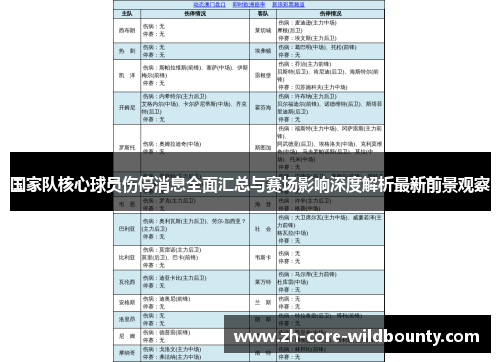 国家队核心球员伤停消息全面汇总与赛场影响深度解析最新前景观察